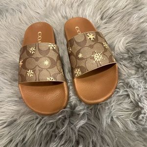 Coach slides